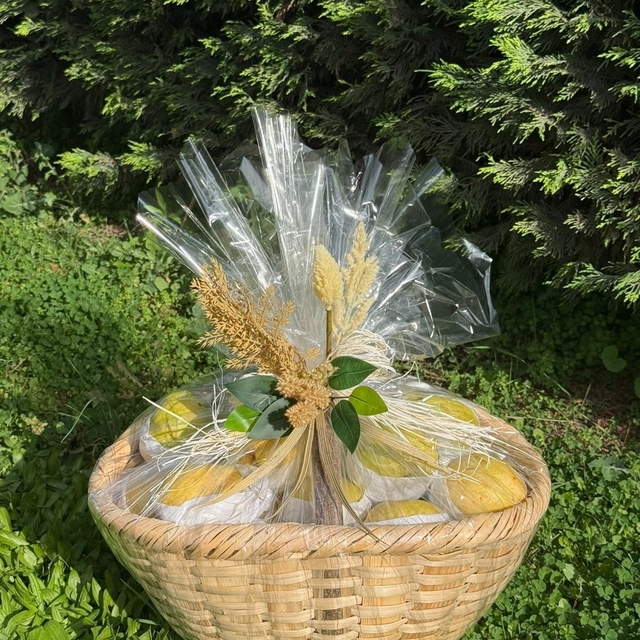 Papa 14. Leo'ya Bursa'dan coğrafi işaretli hediyeler