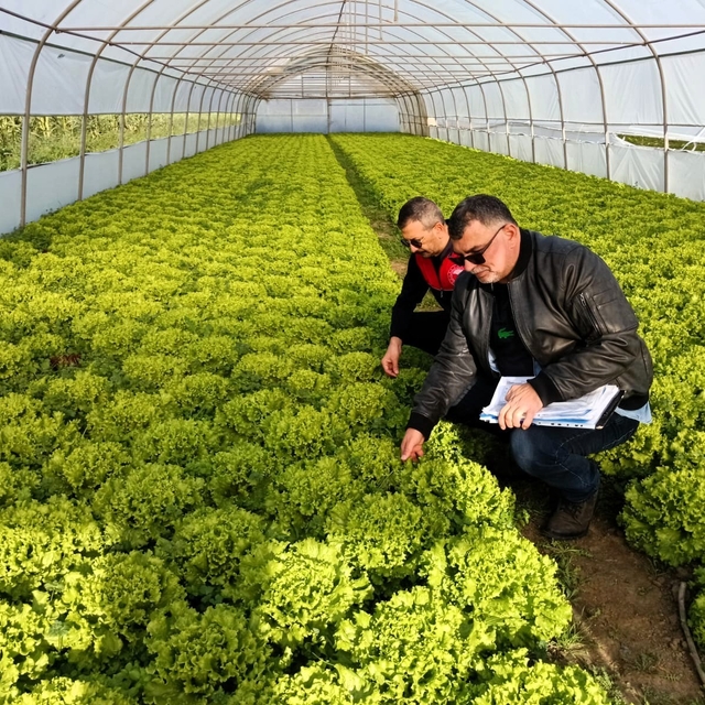 Kırklareli'nde sera denetimleri