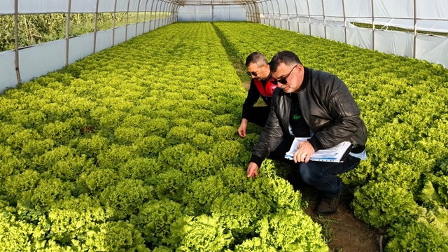 Kırklareli'nde sera denetimleri