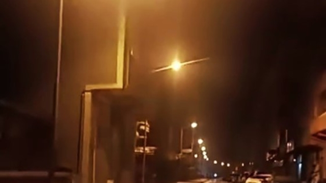 Anne ayı ve yavruları ilçe merkezine indi