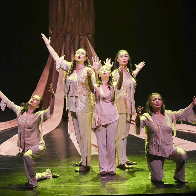 Mersin'de emekli evi üyeleri 'Ben Anadolu' oyununa yoğun ilgi gösterdi