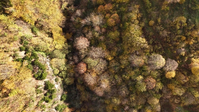 İstanbul'un yanı başında sonbahar rotası
"Zamanı durdurup doğayı dinlemek" isteyenler Başiskele'ye