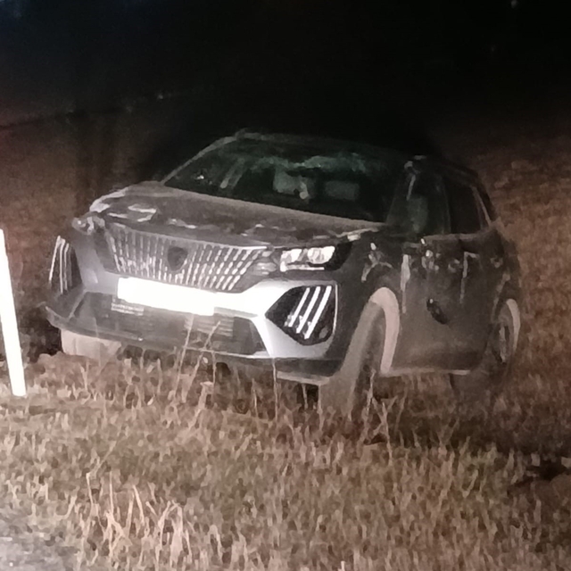 Şoförün tecrübesi facianın önüne geçti
Karayazı'da şarampole düşen araçta h...