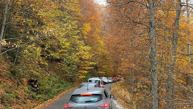 Yedigöller'i 2 ayda 180 bin kişi ziyaret etti