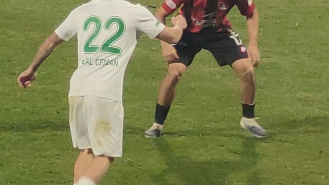 Trendyol 1. Lig: Vanspor FK: 0 - Serikspor: 1