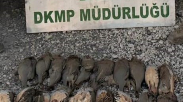 Bitlis'te kota aşımı yapan 5 avcıya 63 bin 680 lira ceza