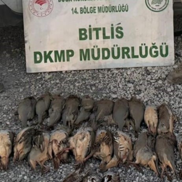 Bitlis'te kota aşımı yapan 5 avcıya 63 bin 680 lira ceza