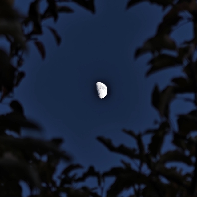 Ahlat'ta yarım ay manzarası hayran bıraktı