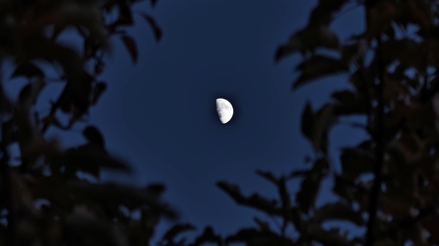 Ahlat'ta yarım ay manzarası hayran bıraktı