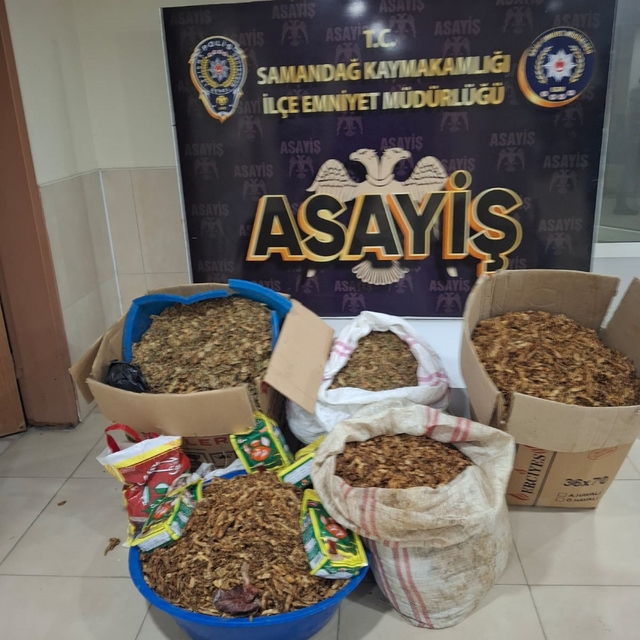 Samandağ'da kaçak tütün operasyonu