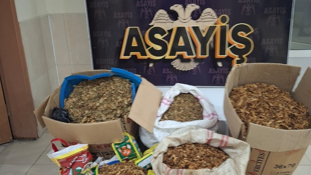 Samandağ'da kaçak tütün operasyonu