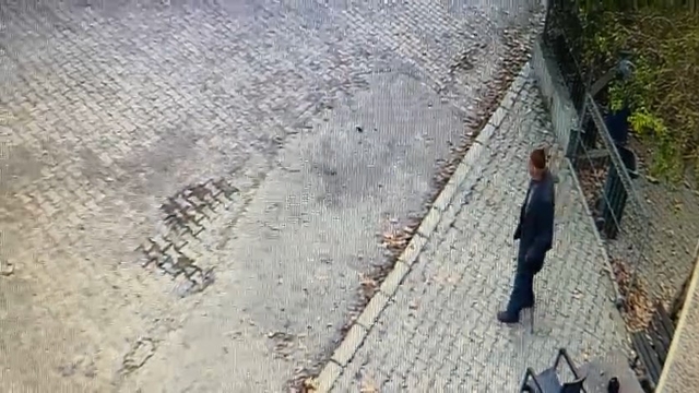 Bursa'da kaybolan Alzheimer hastası için arama çalışması başlatıldı (2)