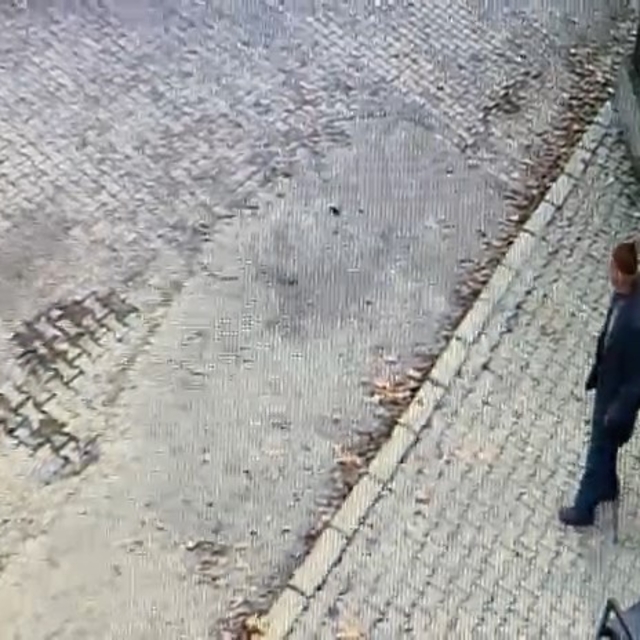 Bursa'da kaybolan Alzheimer hastası için arama çalışması başlatıldı (2)