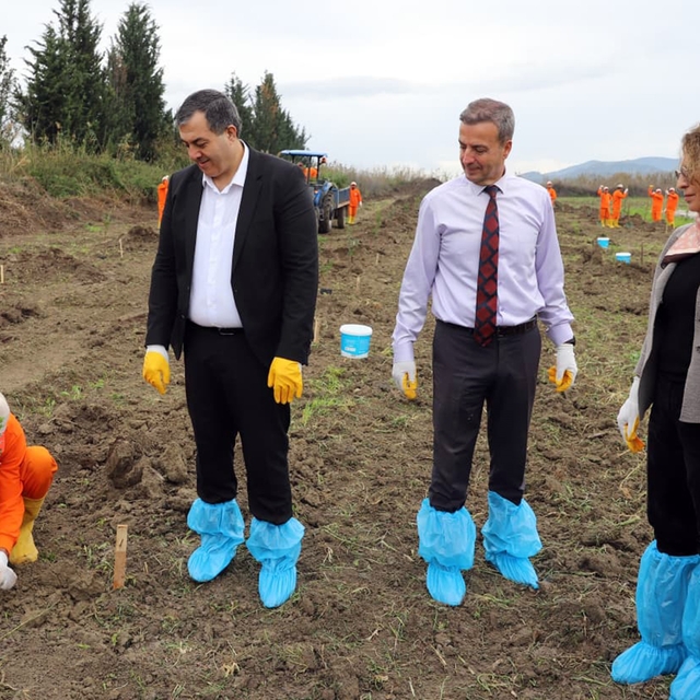 Dalaman Açık Ceza İnfaz Kurumunda 10 dekar alana Sakız ağacı fidanı dikildi