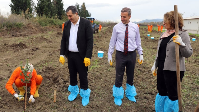 Dalaman Açık Ceza İnfaz Kurumunda 10 dekar alana Sakız ağacı fidanı dikildi