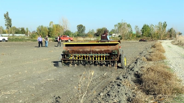Mera alanları işgalden kurtarılıyor
Adana İl Tarım ve Orman Müdürlüğü tarafından Seyhan ilçesindeki 480 dekar mera işgalden kurtarılarak yonca, kamışsı yumak ve çok yıllık çim karışımından oluşan yem bitkisi tohumu toprakla buluşturuldu