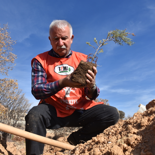 Emekli ormancının "yeşil hikayesi" doğaya adanan bir ömür oldu