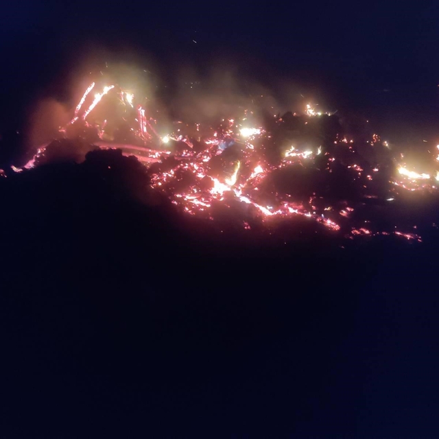 Bilecik'te çürümüş ağaç ve kökler yakılırken alevler kontrolden çıktı