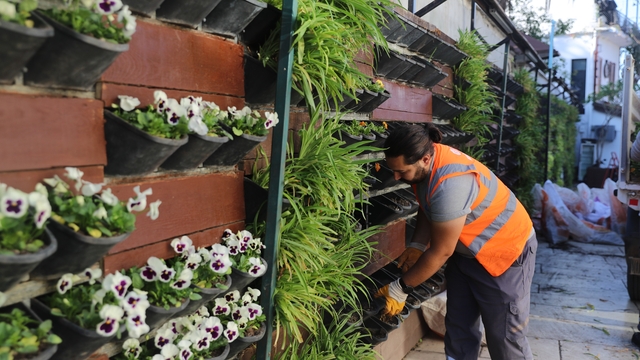 Antalya'da 4 milyon çiçek toprakla buluşuyor