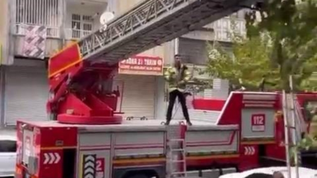 Ağaçta mahsur kalan kediyi kurtarmak için seferber oldular