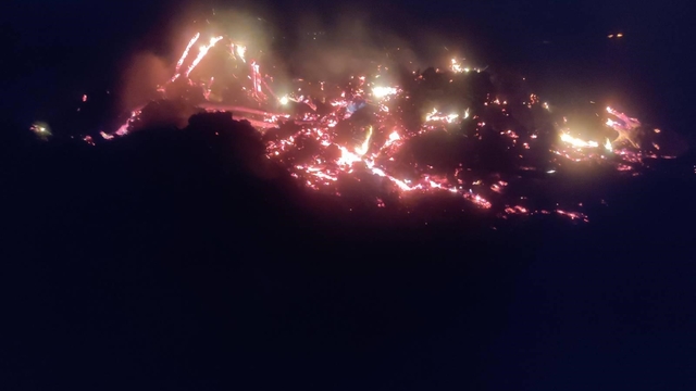 Bilecik'te çürümüş ağaç ve kökler yakılırken alevler kontrolden çıktı