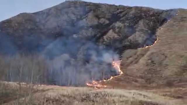 Oltu'da örtü yangını korkuttu
Süleymanlı Mahallesi'ndeki alevler kontrol altına alındı