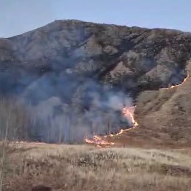 Oltu'da örtü yangını korkuttu
Süleymanlı Mahallesi'ndeki alevler kontrol al...
