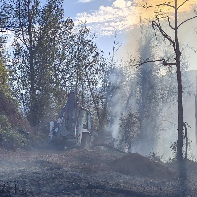 Artvin'de örtü yangını ormana yayıldı