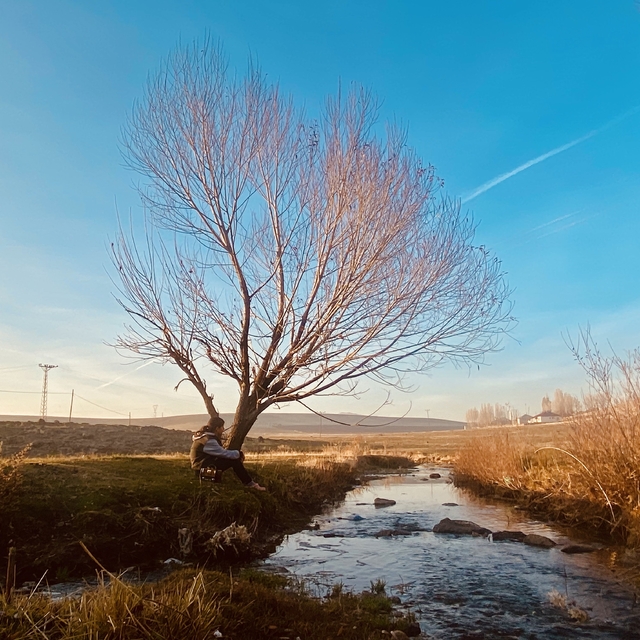 Sonbaharda sararan yapraklar görsel şölen oluşturdu