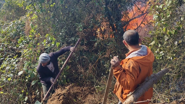 Artvin Hopa'da 5 hektarlık alanı küle çeviren yangınla mücadele sürüyor