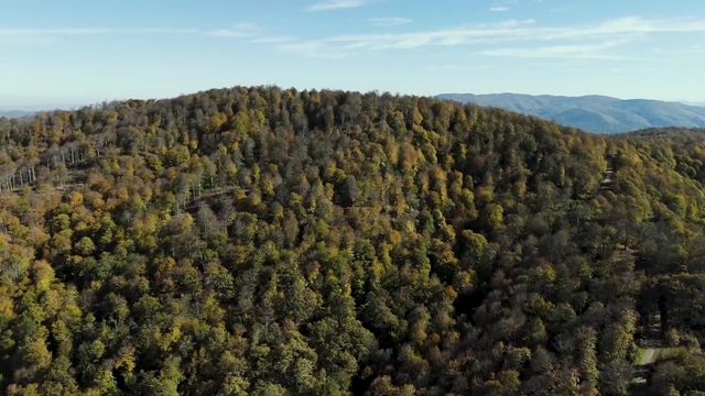 Biga'da sonbahar renklerine bürünen ormanlar havadan görüntülendi