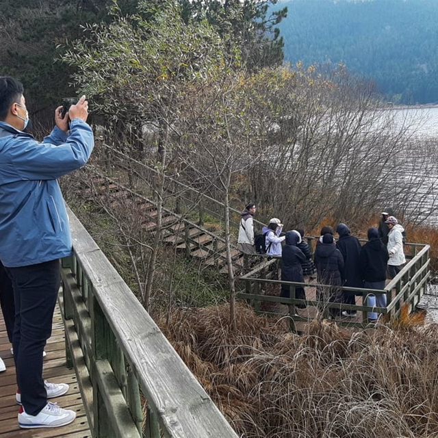 Bolu'nun doğa harikası Abant Gölü'ne ziyaretçi akını