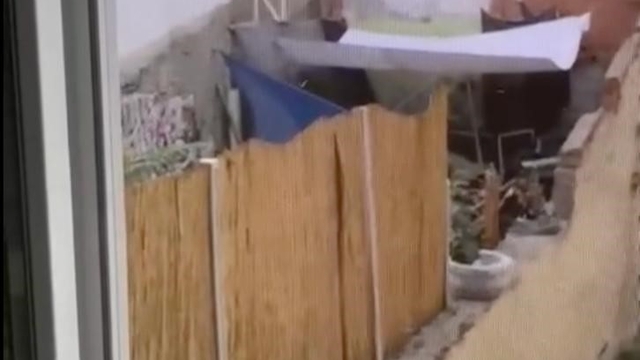 Eskişehir'de köpeğe eziyet eden şahıs yakalandı