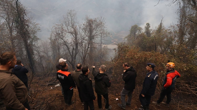 Artvin'de örtü yangını ormana yayıldı (2)