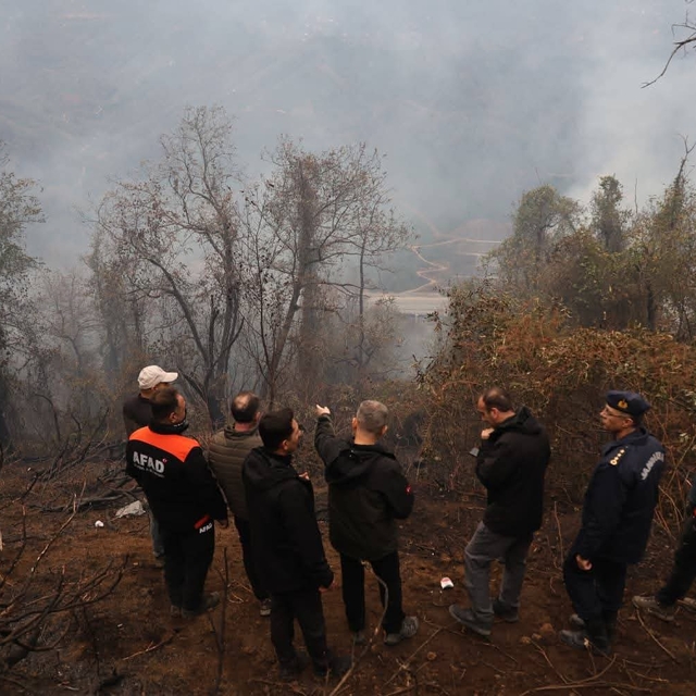 Artvin'de örtü yangını ormana yayıldı (2)