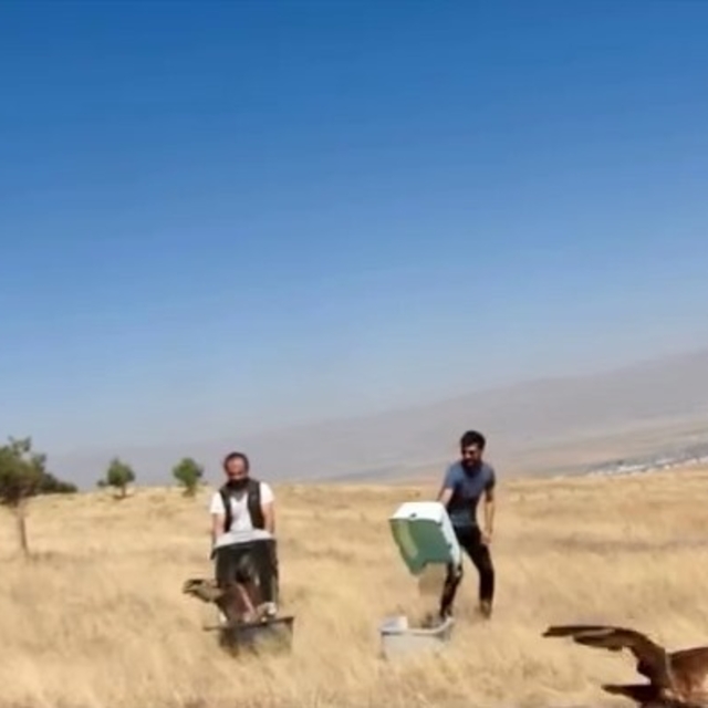 Kızıl Şahinler özgürlüğe uçtu