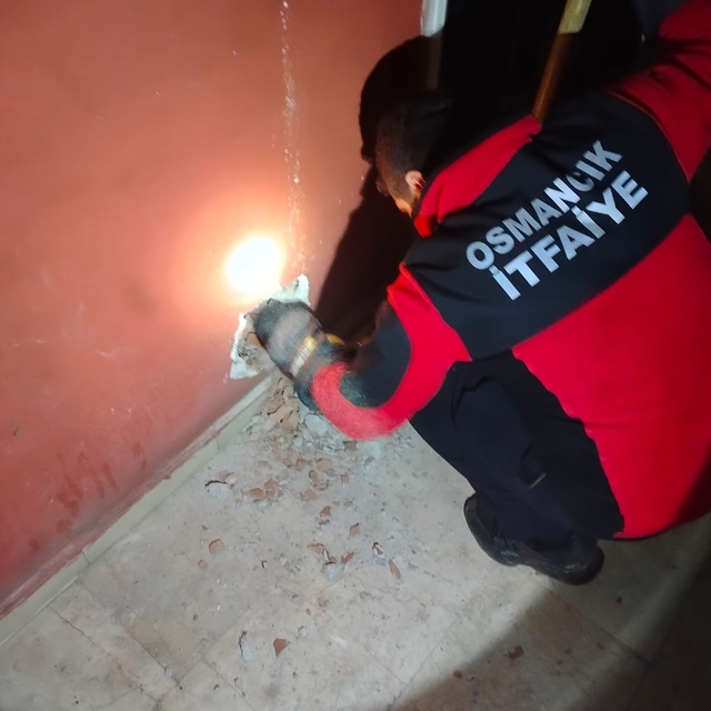 Havalandırma boşluğuna düşen kediyi itfaiye kurtardı