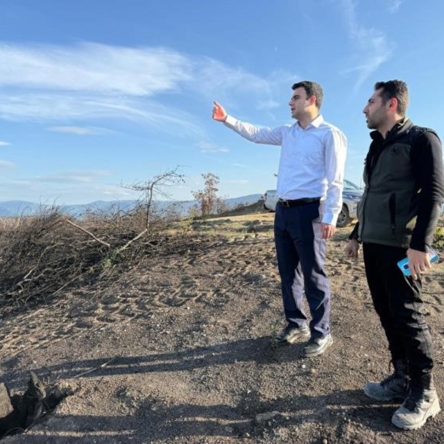 Yangın alanları yeşile bürünüyor