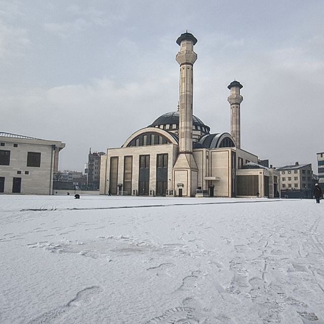 Kars'ta kar yağışı etkili oldu