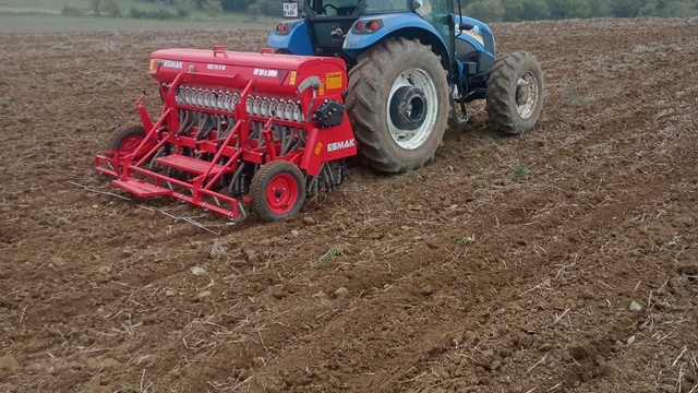 Altın dane buğdayı 19 Mayıs'ta ekildi