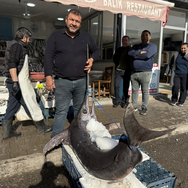138 kiloluk kılıç balığı ilgi odağı oldu
