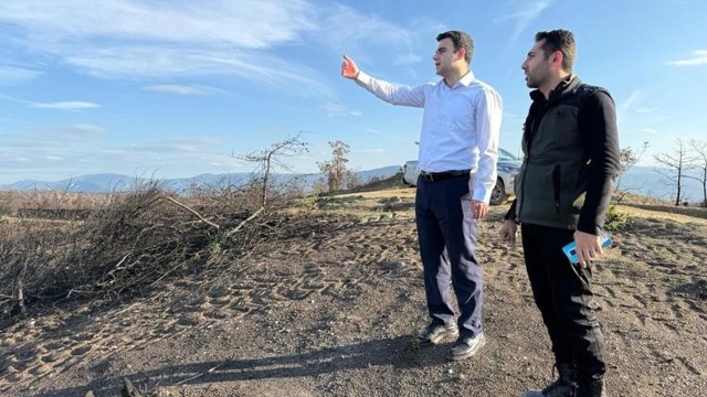 Yangın alanları yeşile bürünüyor