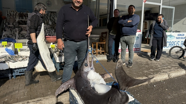 138 kiloluk kılıç balığı ilgi odağı oldu