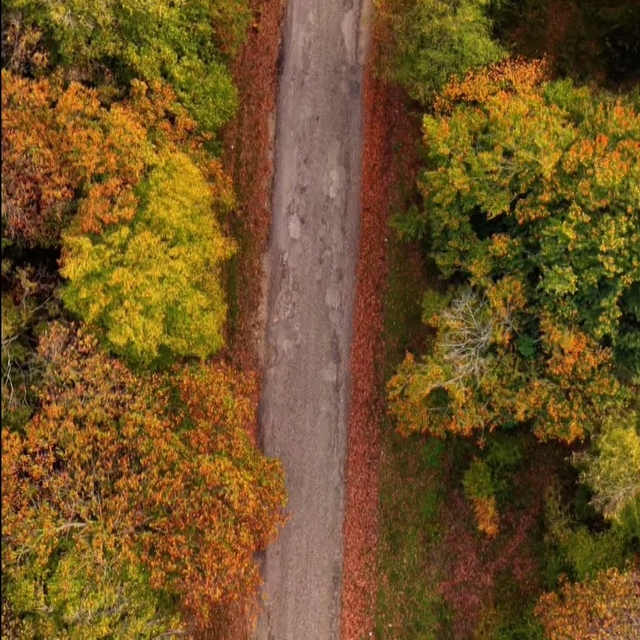 Sinop'ta sonbahar güzelliği