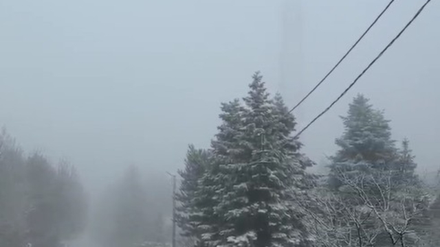 Uludağ'da kar kalınlığı 5 santimetreye ulaştı