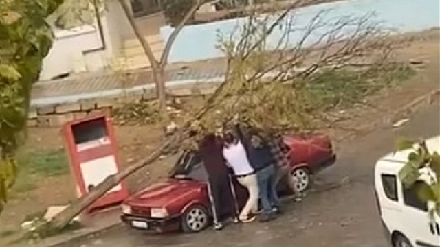 İzmir'de park halindeki otomobilin üzerine ağaç devrildi