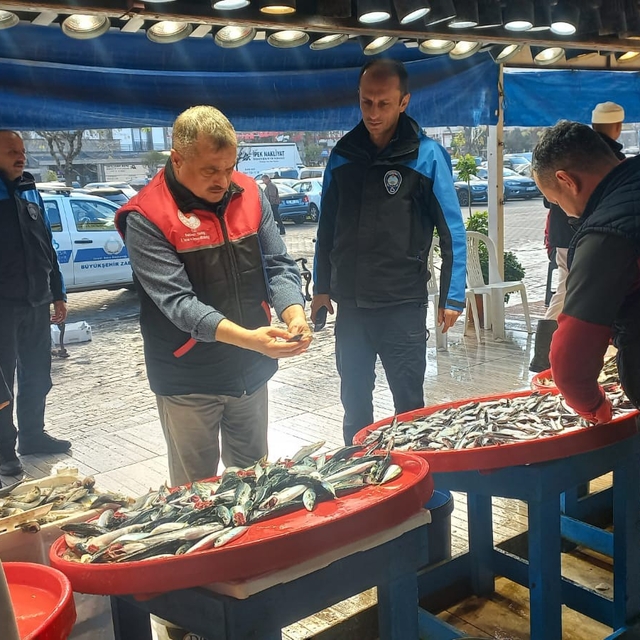 Denetim geldi, gerçek ortaya çıktı: Tezgahtaki balık "kolyoz" çıktı