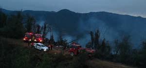 Hopa'daki orman yangını söndürüldü, soğutma çalışmaları sürüyor