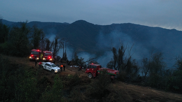 Hopa'daki orman yangını söndürüldü, soğutma çalışmaları sürüyor