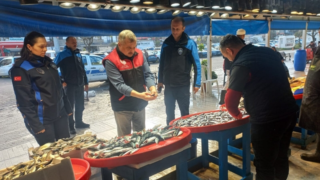 Denetim geldi, gerçek ortaya çıktı: Tezgahtaki balık "kolyoz" çıktı